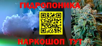 гидра Тара